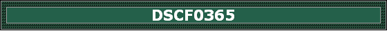 DSCF0365