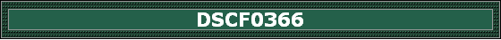 DSCF0366