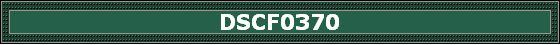 DSCF0370