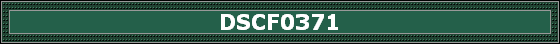 DSCF0371