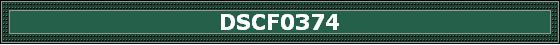 DSCF0374