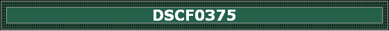 DSCF0375