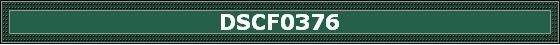 DSCF0376