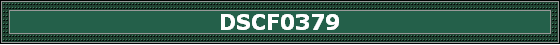 DSCF0379