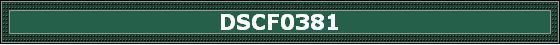 DSCF0381