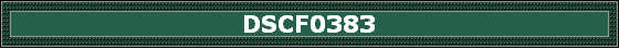 DSCF0383