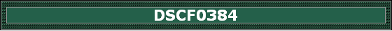 DSCF0384