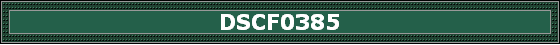 DSCF0385