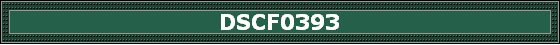 DSCF0393