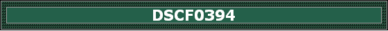 DSCF0394