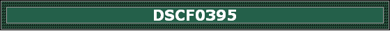 DSCF0395