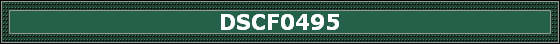 DSCF0495