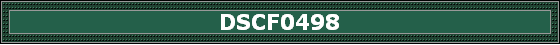 DSCF0498