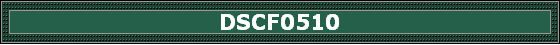 DSCF0510