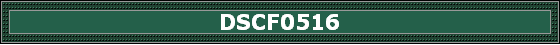 DSCF0516