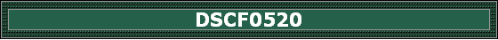 DSCF0520