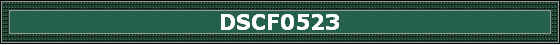 DSCF0523