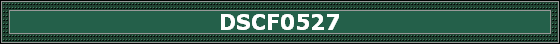 DSCF0527