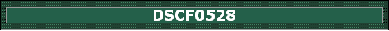 DSCF0528
