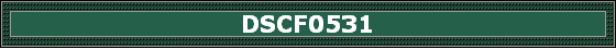 DSCF0531