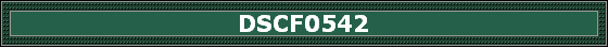 DSCF0542