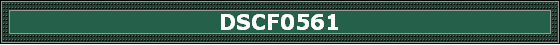 DSCF0561
