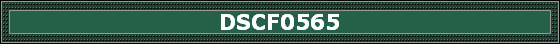DSCF0565