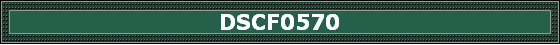 DSCF0570