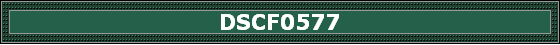 DSCF0577