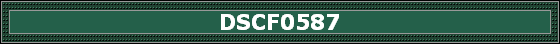 DSCF0587