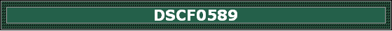 DSCF0589