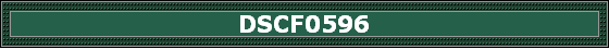 DSCF0596
