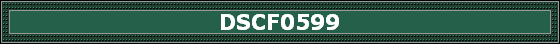 DSCF0599
