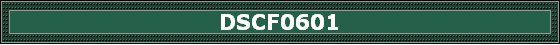 DSCF0601