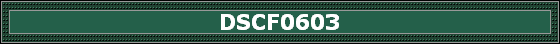 DSCF0603