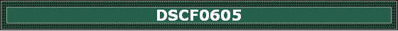 DSCF0605