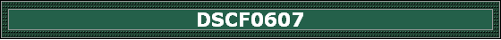 DSCF0607