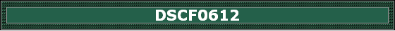 DSCF0612