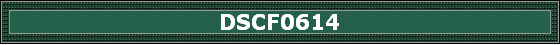 DSCF0614