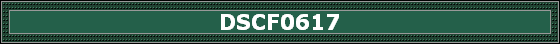 DSCF0617