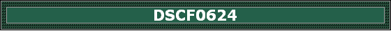 DSCF0624