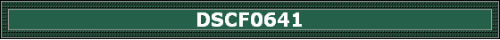 DSCF0641