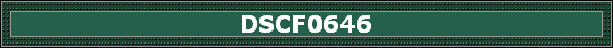 DSCF0646