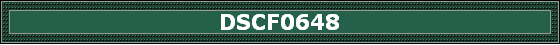 DSCF0648