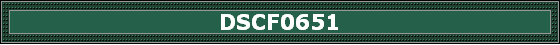 DSCF0651