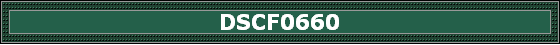 DSCF0660