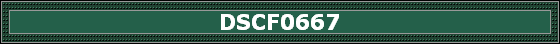 DSCF0667