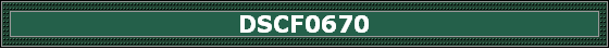 DSCF0670