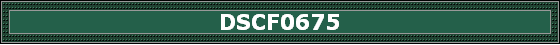 DSCF0675
