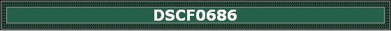 DSCF0686